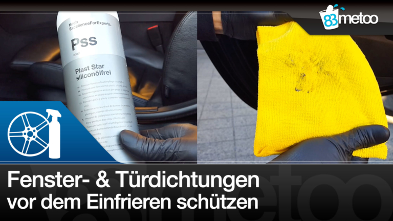 Türdichtungen frieren ein