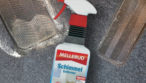 Auto Schimmel entfernen